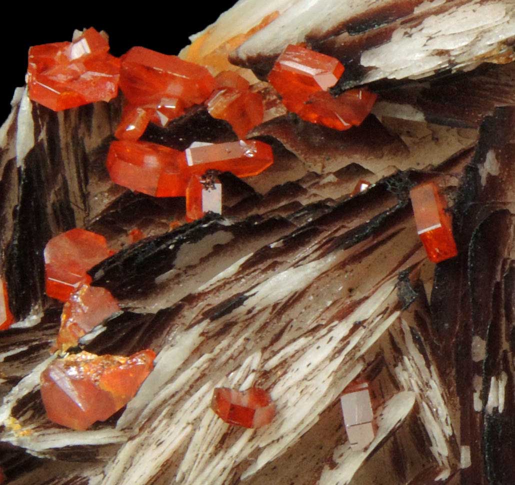 Vanadinite on Barite from Mibladen, Haute Moulouya Basin, Zeida-Aouli-Mibladen belt, Midelt Province, Morocco