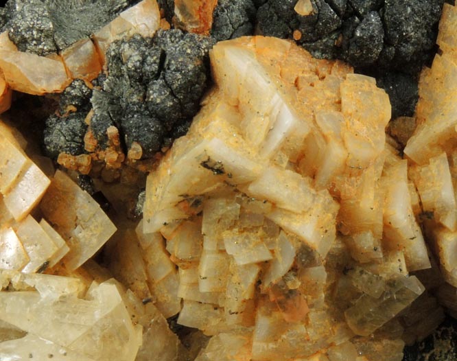 Dolomite, Calcite, Marcasite-Pyrite from Lowville, Lewis County, New York