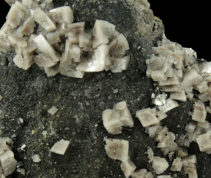 Dolomite from Lowville, Lewis County, New York