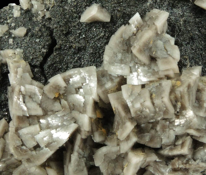 Dolomite from Lowville, Lewis County, New York
