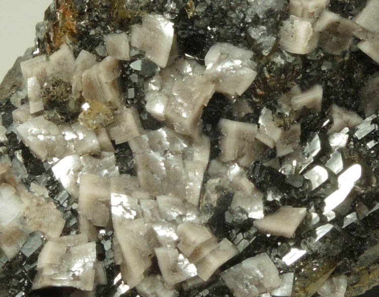 Calcite and Dolomite from Lowville, Lewis County, New York