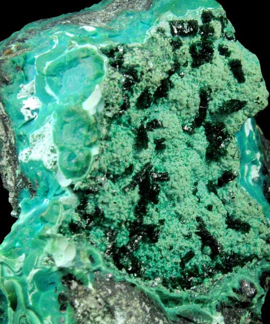 Malachite on Chrysocolla from Mashamba West Mine, 13 km west of Kolwezi, Katanga Copperbelt, Lualaba Province, Democratic Republic of the Congo