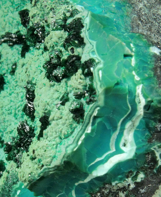 Malachite on Chrysocolla from Mashamba West Mine, 13 km west of Kolwezi, Katanga Copperbelt, Lualaba Province, Democratic Republic of the Congo