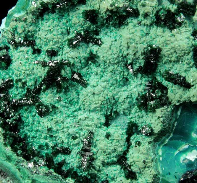 Malachite on Chrysocolla from Mashamba West Mine, 13 km west of Kolwezi, Katanga Copperbelt, Lualaba Province, Democratic Republic of the Congo