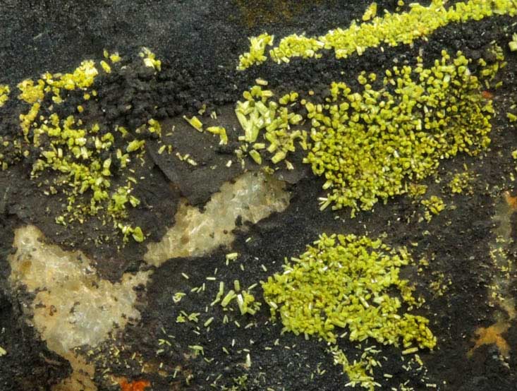 Pyromorphite, Mottramite, Vauquelinite from Allah Cooper (Valcooper) Mine, Contrary Creek District, near Mineral, Louisa County, Virginia