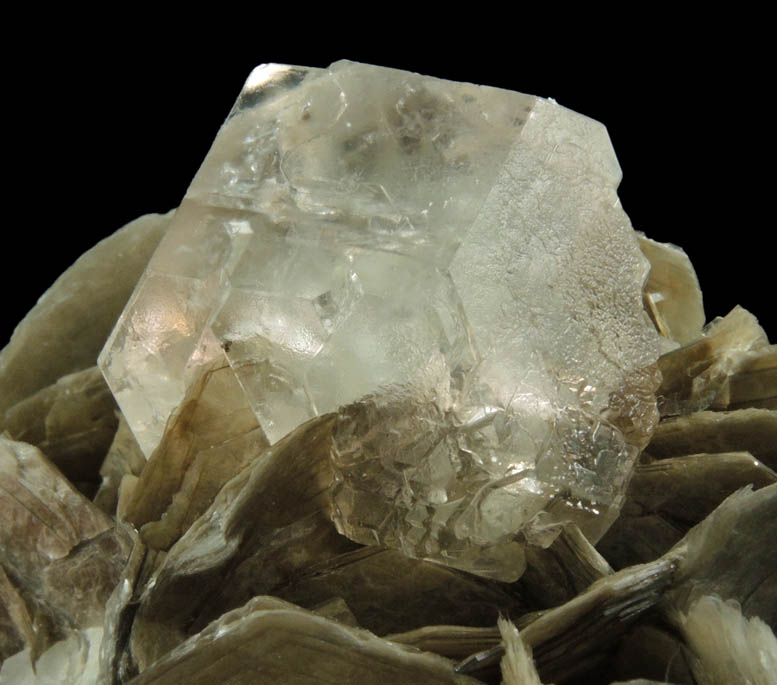 Fluorite (interpenetrant-twinned crystals) on Muscovite from Chumar Bakhor, Nagar, Hunza Valley, Gilgit-Baltistan, Pakistan