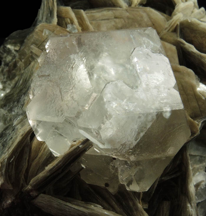 Fluorite (interpenetrant-twinned crystals) on Muscovite from Chumar Bakhor, Nagar, Hunza Valley, Gilgit-Baltistan, Pakistan