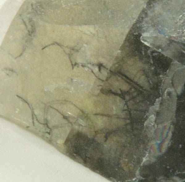 Polydymite in Calcite from Gray's Quarry, Hamilton, Hancock County, Illinois