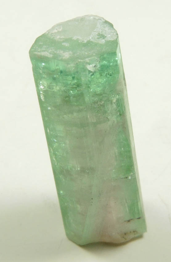 Elbaite Tourmaline from Heath Pocket, Havey Quarry, Poland, Androscoggin County, Maine