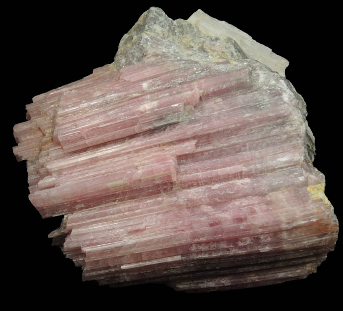 Elbaite var. Rubellite Tourmaline with Spodumene from Black Mountain Quarry, Rumford, Oxford County, Maine