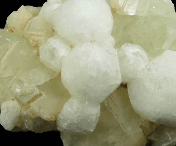 Analcime on Datolite from Paterson (probably New Street Quarry), Passaic County, New Jersey