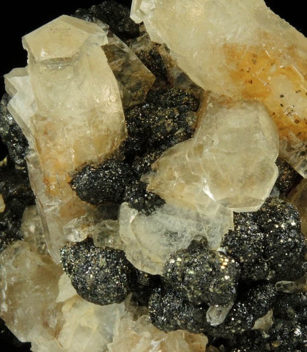 Calcite, Pyrite, Bitumen from Lowville, Lewis County, New York