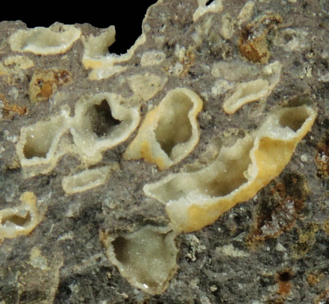 Heulandite, Stilbite, Apophyllite from Jaquish Road Cut, near Goble, Columbia County, Oregon