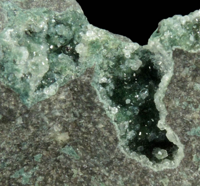 Analcime over Chlorite from Cape Blomidon, Nova Scotia, Canada