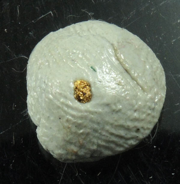 Gold from Arige, Occitanie, Midi-Pyrnes, France