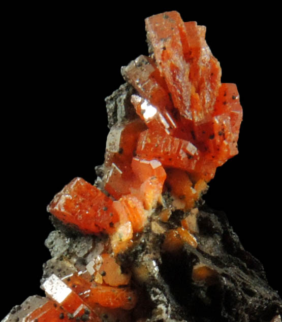 Vanadinite on Fe-Mn-oxide from Taouz, Er Rachidia, Meknes-Tafilalet, Morocco