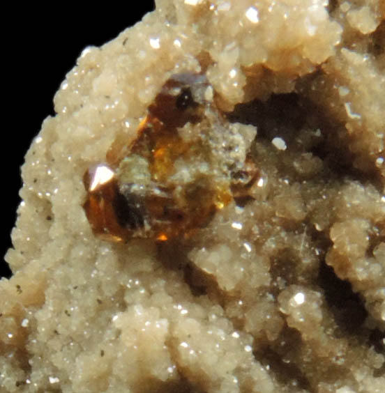 Sphalerite on Dolomite from Dundas Quarry, Dundas, Ontario, Canada