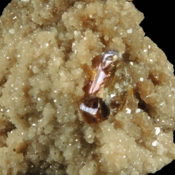 Sphalerite on Dolomite from Dundas Quarry, Dundas, Ontario, Canada