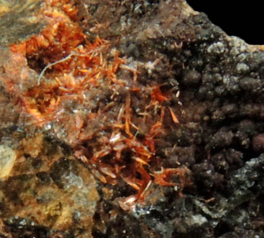 Beraunite from Bachman Mine, Hellertown, Northampton County, Pennsylvania