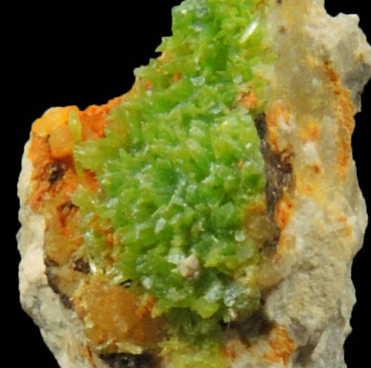 Pyromorphite from Phoenixville, Chester County, Pennsylvania