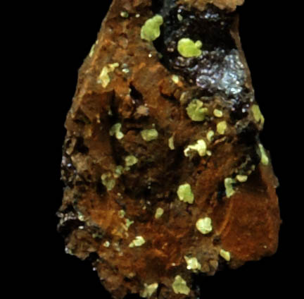 Torbernite from Candelaria Mine, Moctezuma, Sonora, Mexico
