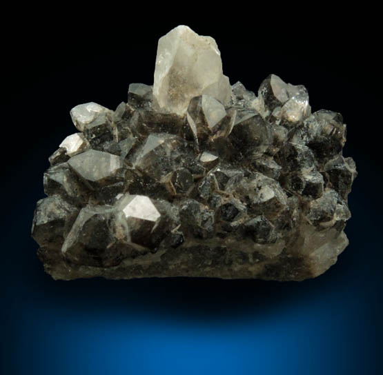 Quartz var. Smoky Quartz with phantom-growth zoning from Coontail Quartz Locality, Magnet Cove, Hot Spring County, Arkansas