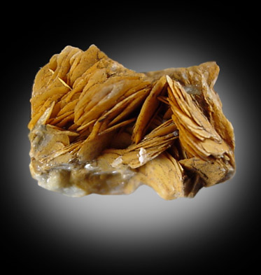 Siderite from Mount Bishoff, Tasmania, Australia