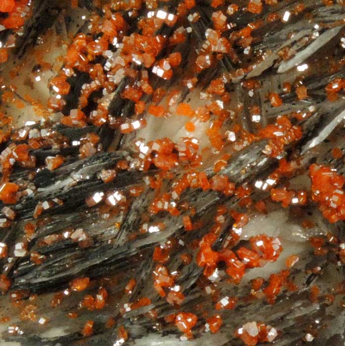 Vanadinite on Barite with manganese-oxides from Mibladen, Haute Moulouya Basin, Zeida-Aouli-Mibladen belt, Midelt Province, Morocco