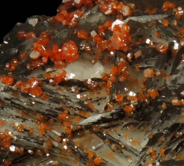 Vanadinite on Barite with manganese-oxides from Mibladen, Haute Moulouya Basin, Zeida-Aouli-Mibladen belt, Midelt Province, Morocco