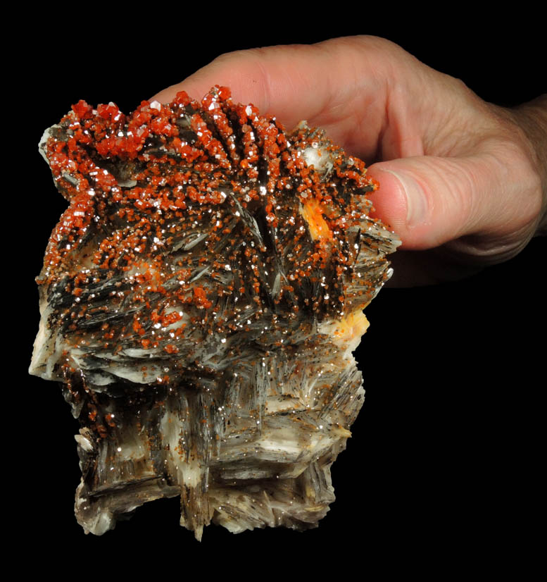 Vanadinite on Barite with manganese-oxides from Mibladen, Haute Moulouya Basin, Zeida-Aouli-Mibladen belt, Midelt Province, Morocco