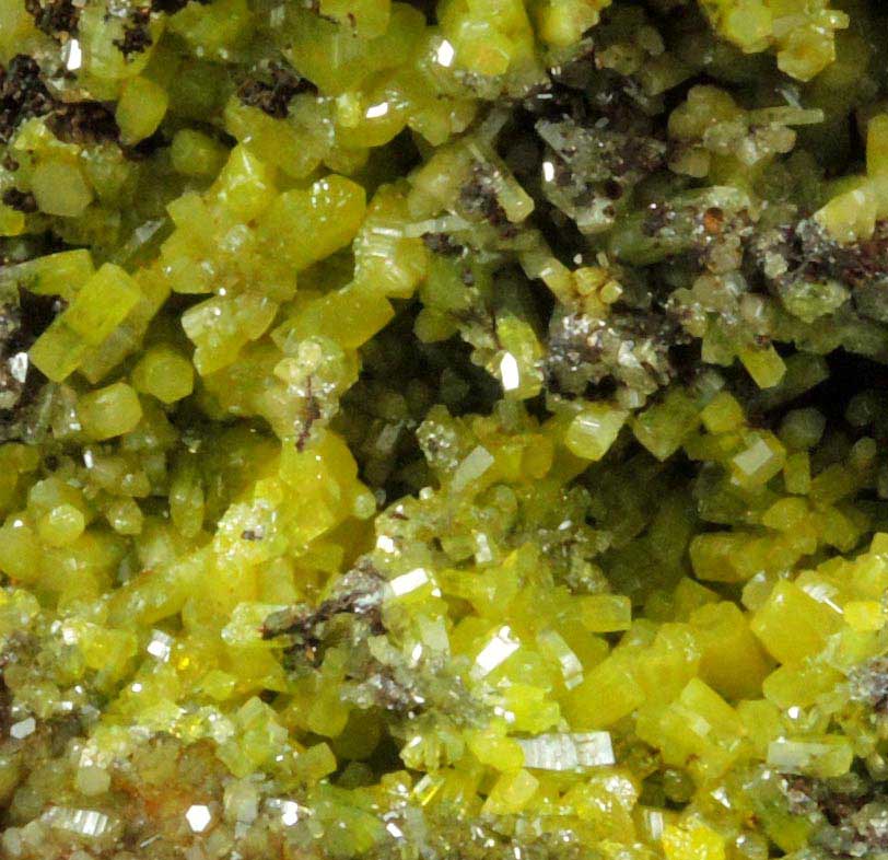 Mimetite on Limonite gossan from Santa Eulalia District, Aquiles Serdn, Chihuahua, Mexico