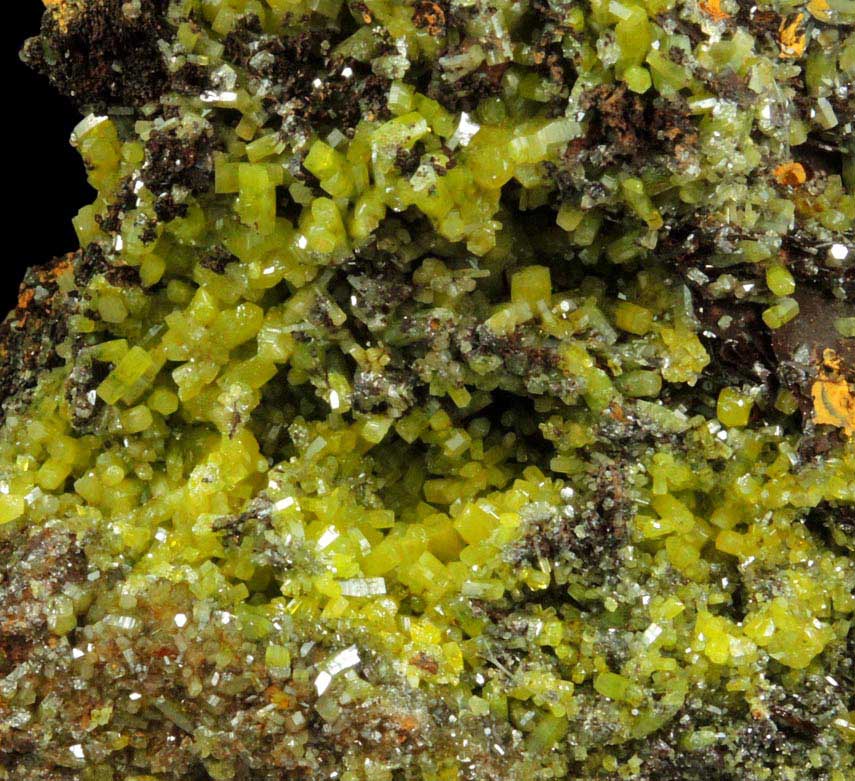 Mimetite on Limonite gossan from Santa Eulalia District, Aquiles Serdn, Chihuahua, Mexico