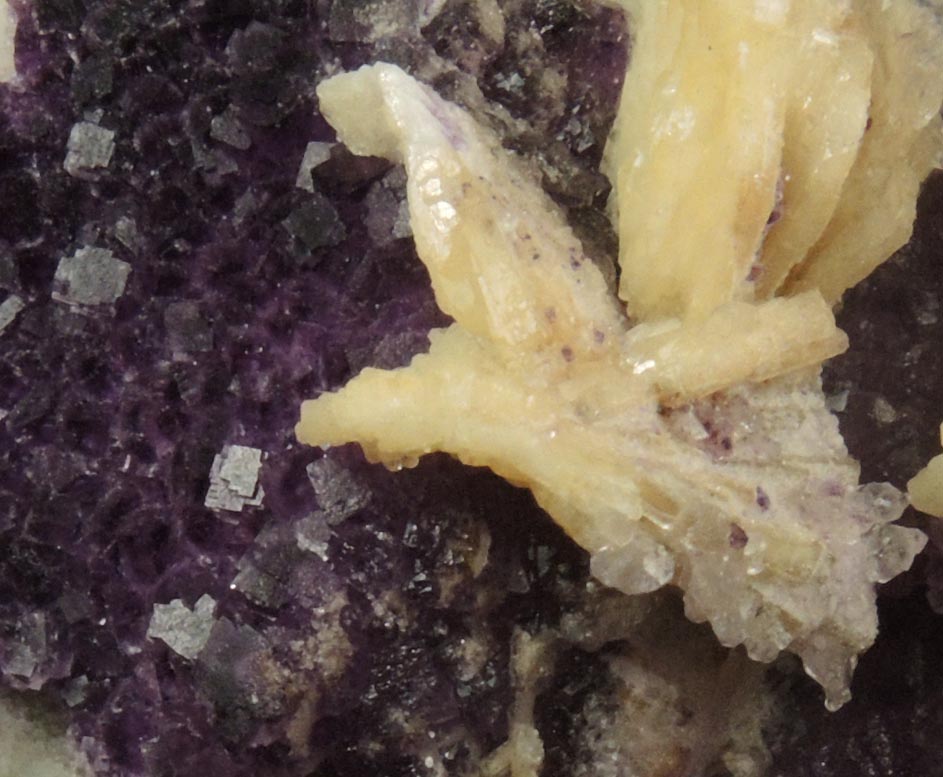 Barite on Fluorite over Quartz from Caravia-Berbes District, Asturias, Spain