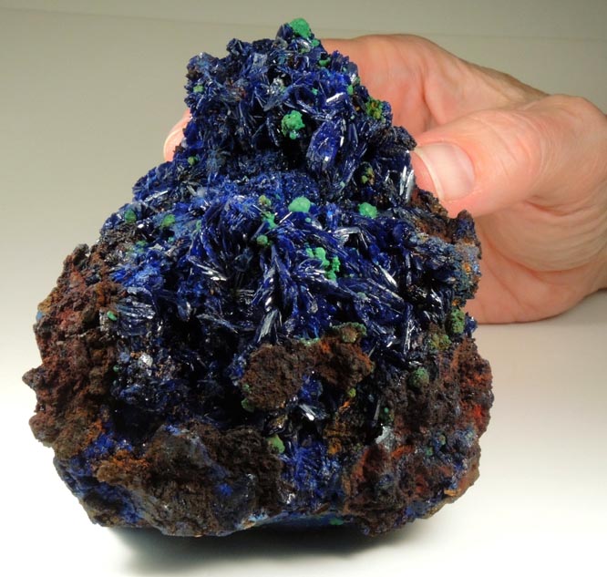 Azurite with Malachite from Oumjrane District, Alnif, Tinghir, Dra-Tafilalet, Morocco