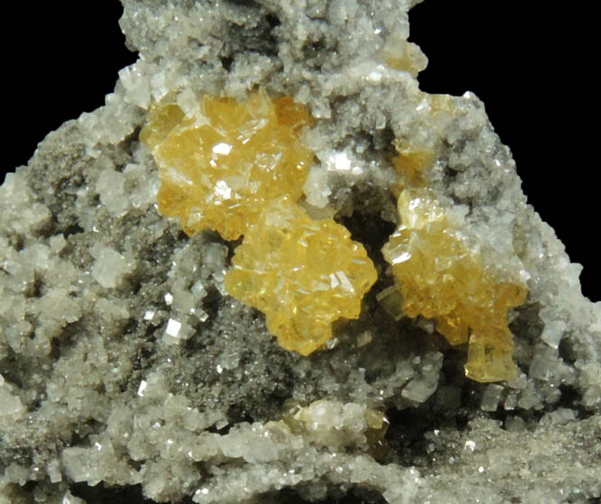 Sphalerite on Dolomite from Frontier Quarry, Lockport, Niagara County, New York