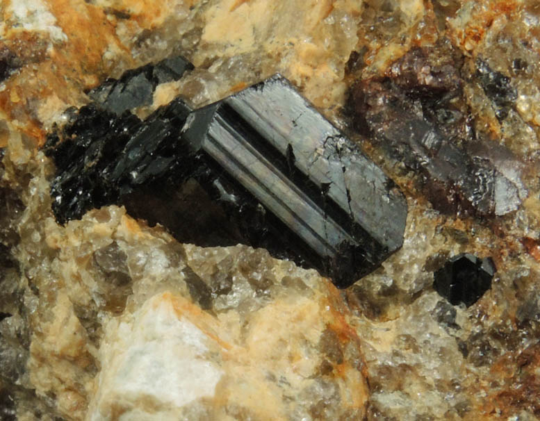 Schorl Tourmaline from 170 Street at Riverside Drive, Manhattan Island, New York City, New York County, New York