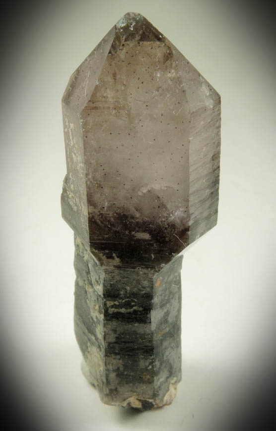 Quartz var. Smoky Quartz (scepter-shaped formation) from Tafelkop, Goboboseb Mountains, 27 km west of Brandberg Mountain, Erongo region, Namibia