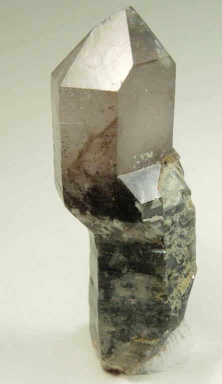 Quartz var. Smoky Quartz (scepter-shaped formation) from Tafelkop, Goboboseb Mountains, 27 km west of Brandberg Mountain, Erongo region, Namibia