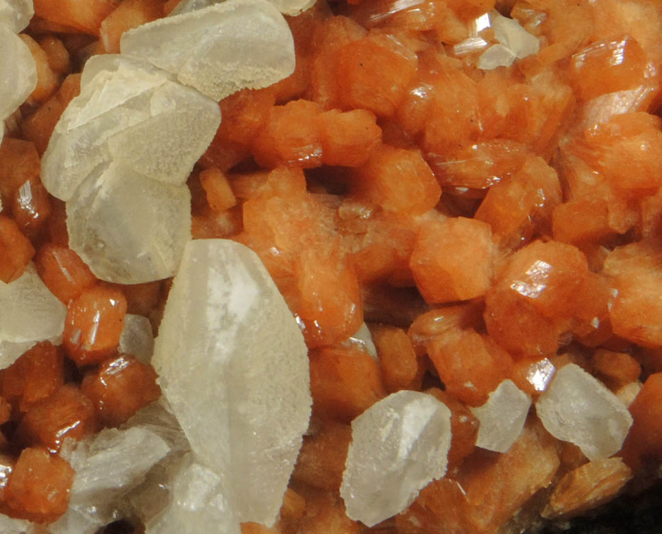 Stilbite and Calcite from Moore's Station Quarry, 44 km northeast of Philadelphia, Mercer County, New Jersey