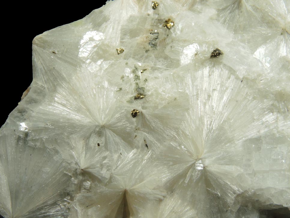 Pectolite with Calcite and Chalcopyrite from Laurel Hill (Snake Hill) Quarry, Secaucus, Hudson County, New Jersey