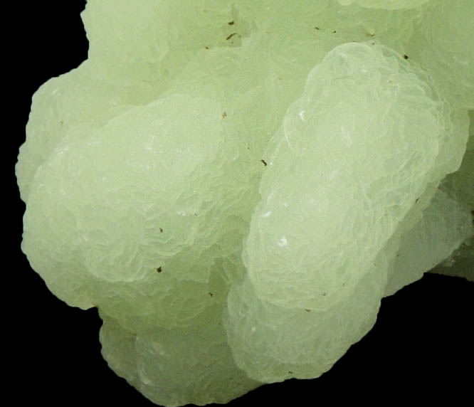 Prehnite pseudomorphs after Anhydrite from Interstate 80 road cut, Paterson, Passaic County, New Jersey