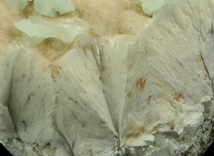 Prehnite on Pectolite from Millington Quarry, Bernards Township, Somerset County, New Jersey