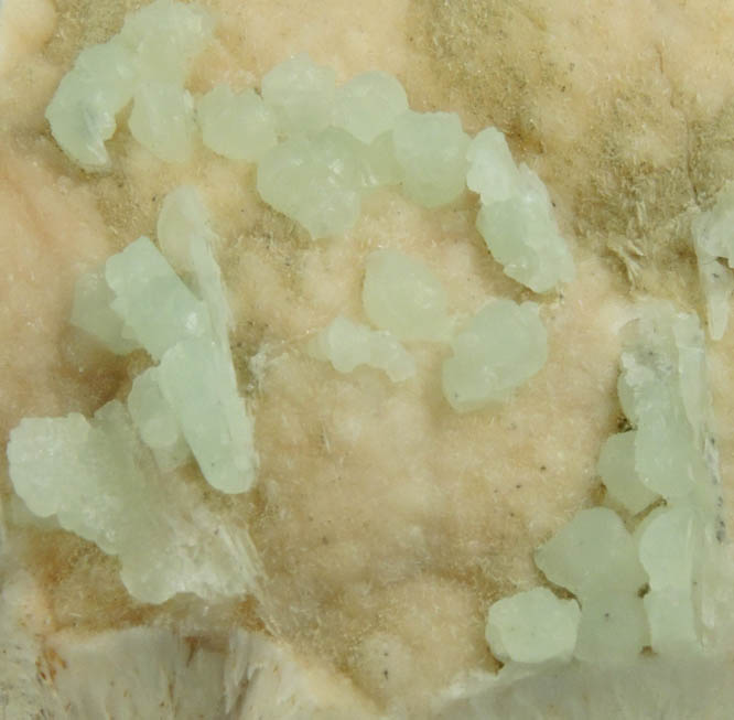 Prehnite on Pectolite from Millington Quarry, Bernards Township, Somerset County, New Jersey