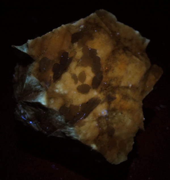Prehnite on Pectolite from Millington Quarry, Bernards Township, Somerset County, New Jersey