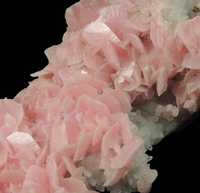 Rhodochrosite on Quartz with minor Pyrite from Silverton District, San Juan County, Colorado