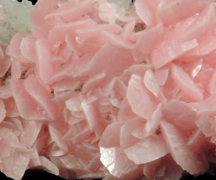 Rhodochrosite on Quartz with minor Pyrite from Silverton District, San Juan County, Colorado