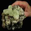 Prehnite from Lower New Street Quarry, Paterson, Passaic County, New Jersey