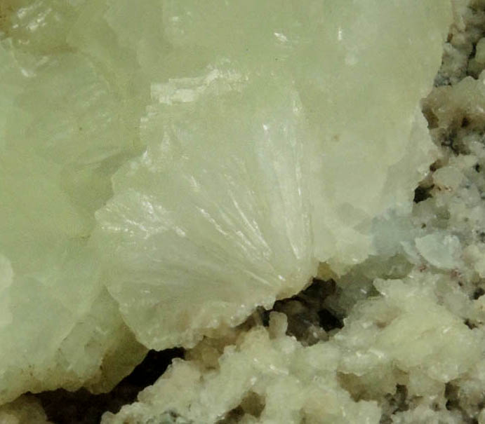 Prehnite from Lower New Street Quarry, Paterson, Passaic County, New Jersey