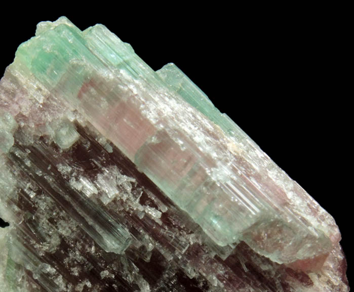 Elbaite Tourmaline from Dunton Quarry, Plumbago Mountain, Hall's Ridge, Newry, Oxford County, Maine