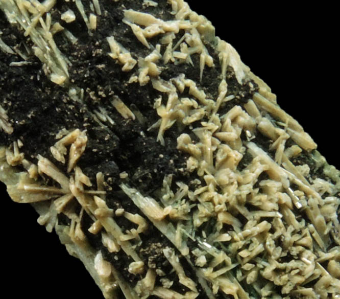 Elpidite-Aegirine pseudomorphs after Serandite from De-Mix Quarry, Mont Saint-Hilaire, Qubec, Canada